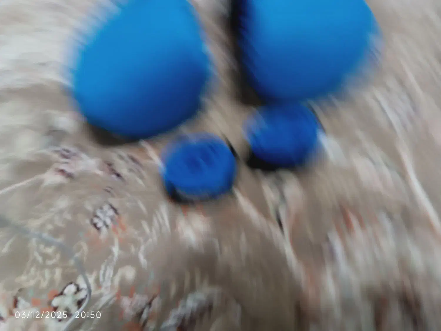 دستکش بوکس|تجهیزات ورزشی|تاکستان, |دیوار