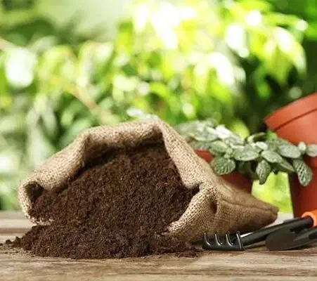 کود گاو داخل گونی|لوازم جانبی حیوانات|ماهان, |دیوار