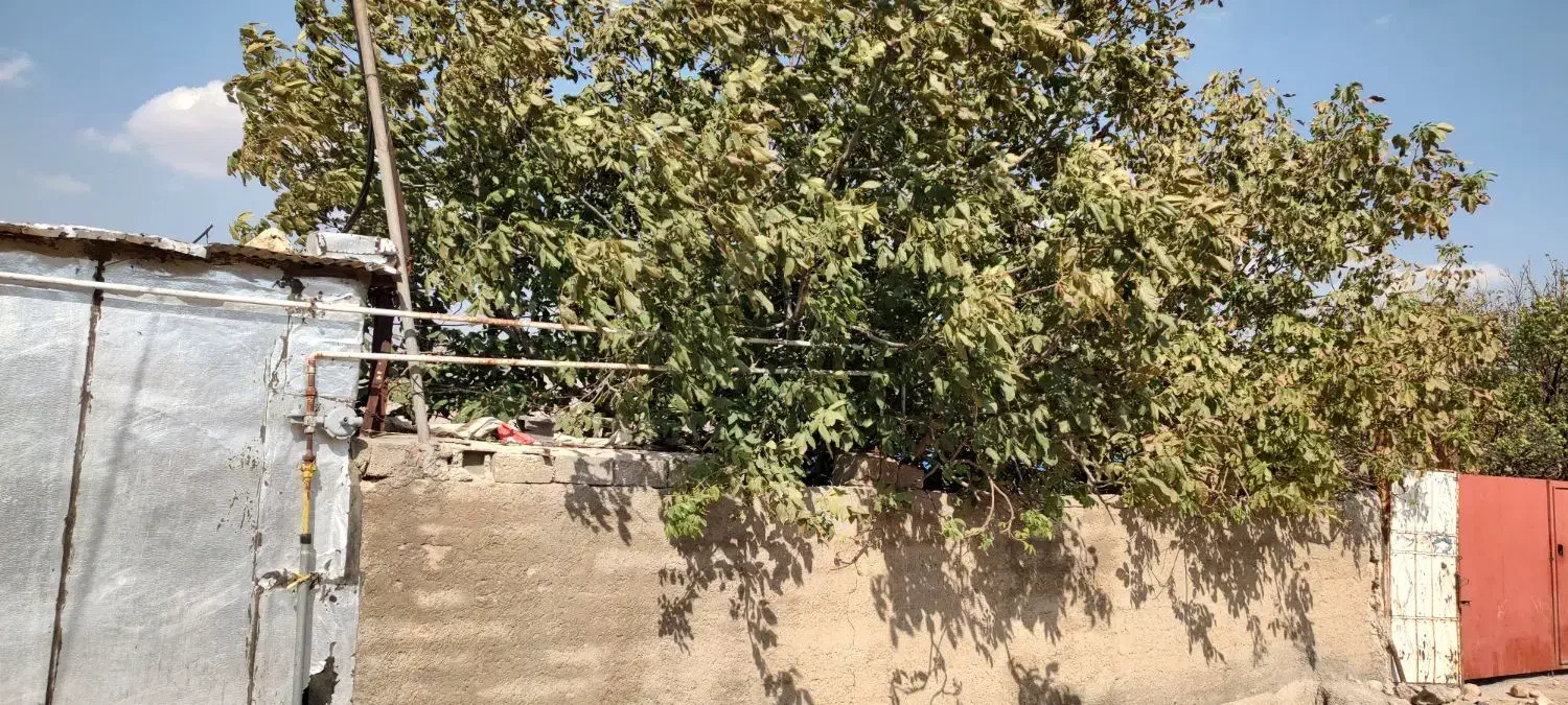 گاوداری ۴هزار متری به همراه باغ۶هزار متری|فروش دفتر صنعتی، کشاورزی، تجاری|ایوان, |دیوار