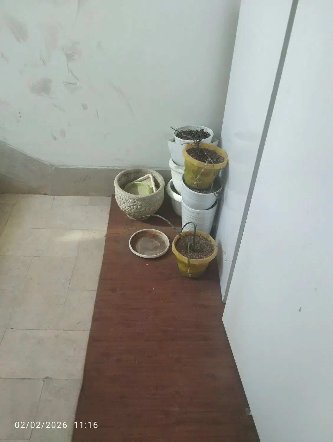 پایه گلدان فرفورژه|گل و گیاه طبیعی|مشهد, تلگرد|دیوار