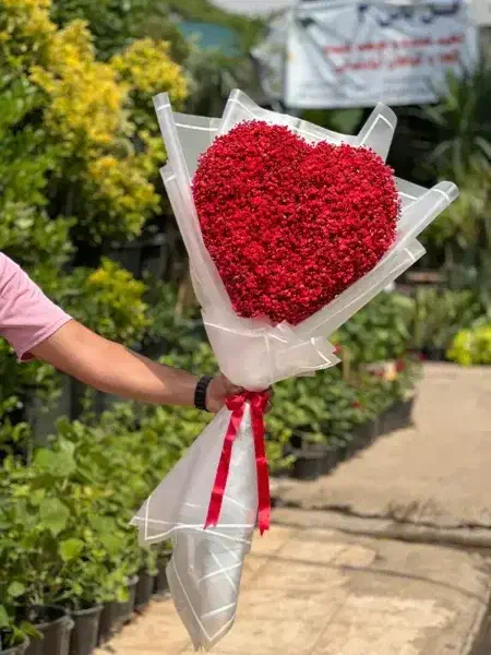 رز قرمز|گل مصنوعی|قم, باغ شازده|دیوار