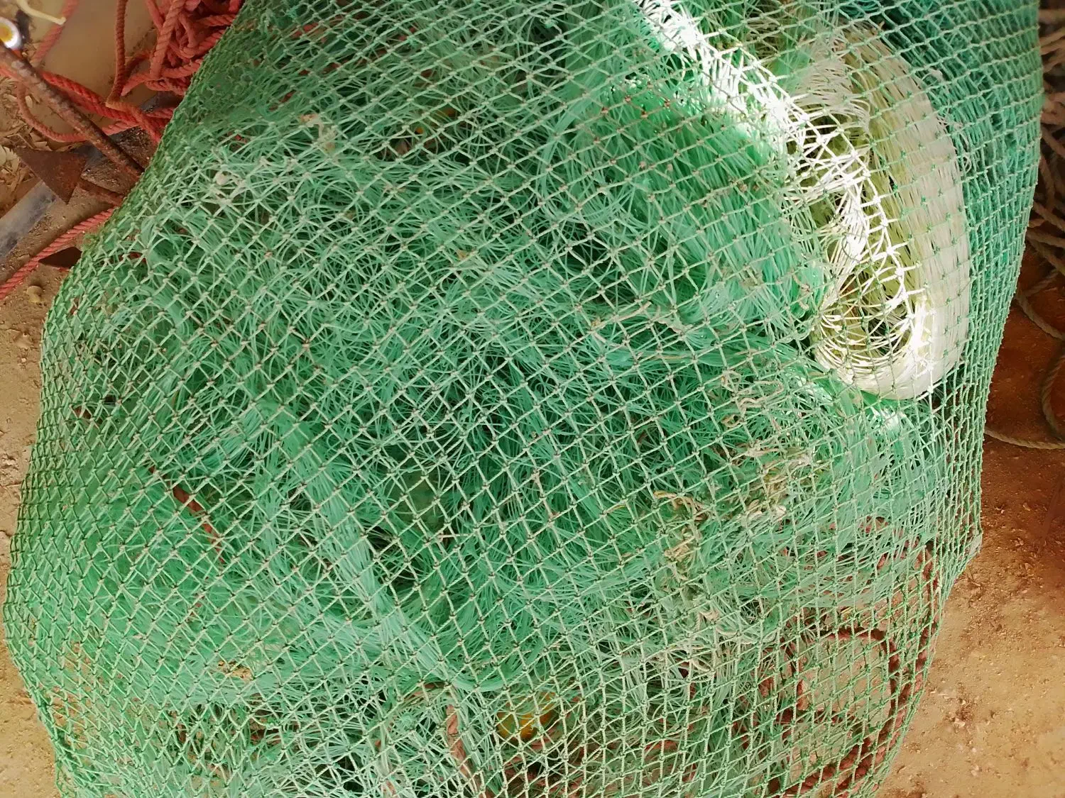 جل پو و تخته جل و بند|ماهیگیری|قشم, |دیوار