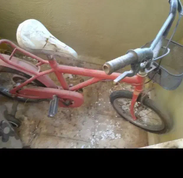 دوچرخه درحدنو|دوچرخه، اسکیت، اسکوتر|پرند, فاز ۶|دیوار