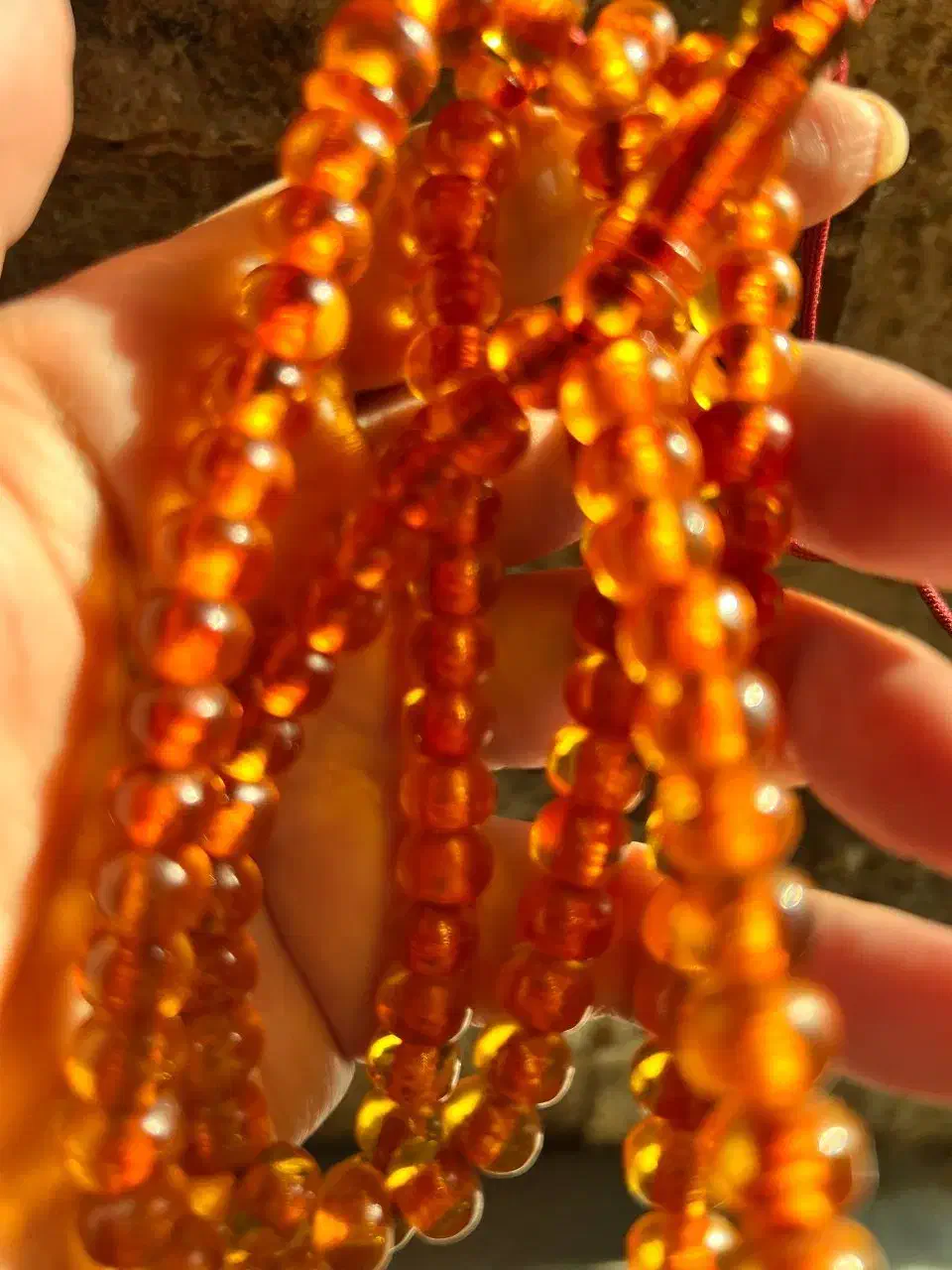 تسی کهنه بوی،شدید درشت ۳ تا|بدلیجات|کرج, باغستان|دیوار