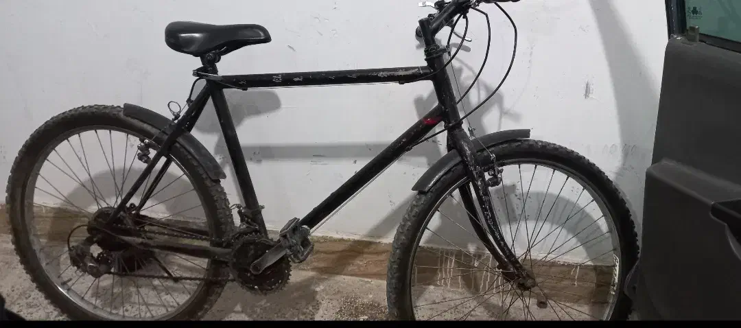 دوچرخه ۲۶ دماوند|دوچرخه، اسکیت، اسکوتر|اسفراین, |دیوار