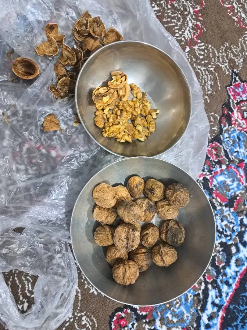 گردو درجه یک امسالی شرطی|خوردنی و آشامیدنی|اندیکا, |دیوار