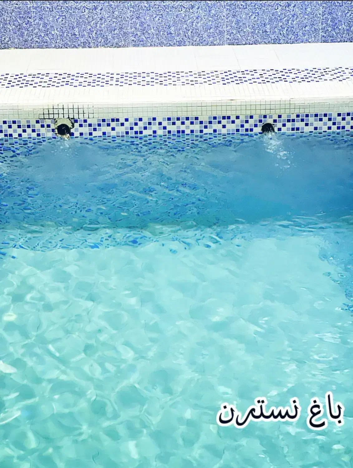 اجاره باغ ویلا ، ساعتی روزانه هفتگی ماهانه|اجارهٔ کوتاه‌مدت ویلا و باغ|طرقبه, |دیوار