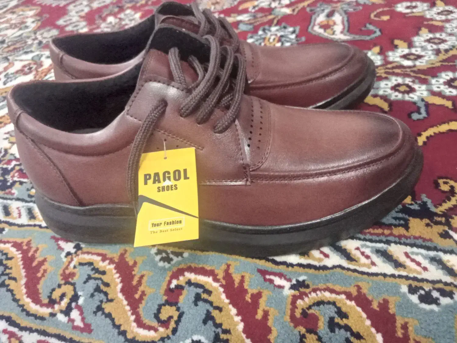 کفش مردانه|کیف، کفش، کمربند|گناباد, |دیوار