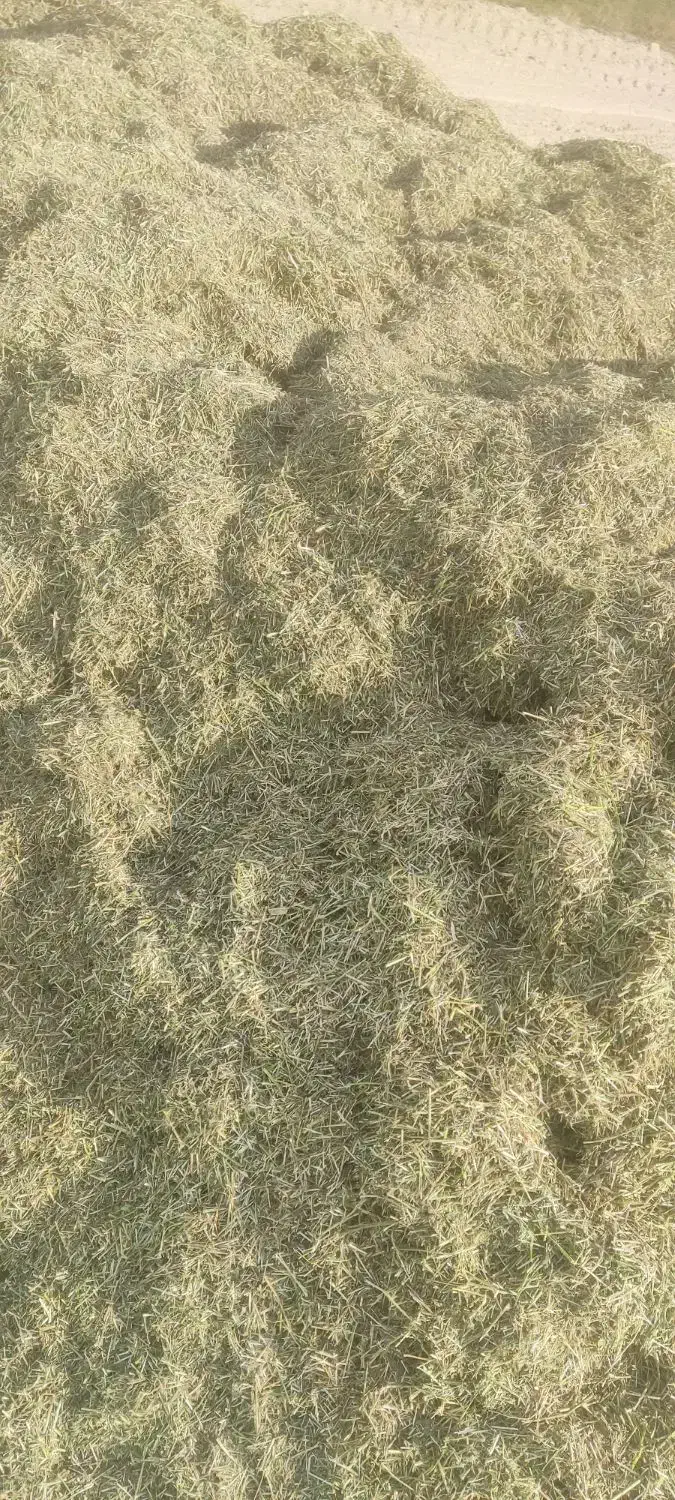 یونجه و بذر یونجه|حیوانات مزرعه|رودخانه, |دیوار