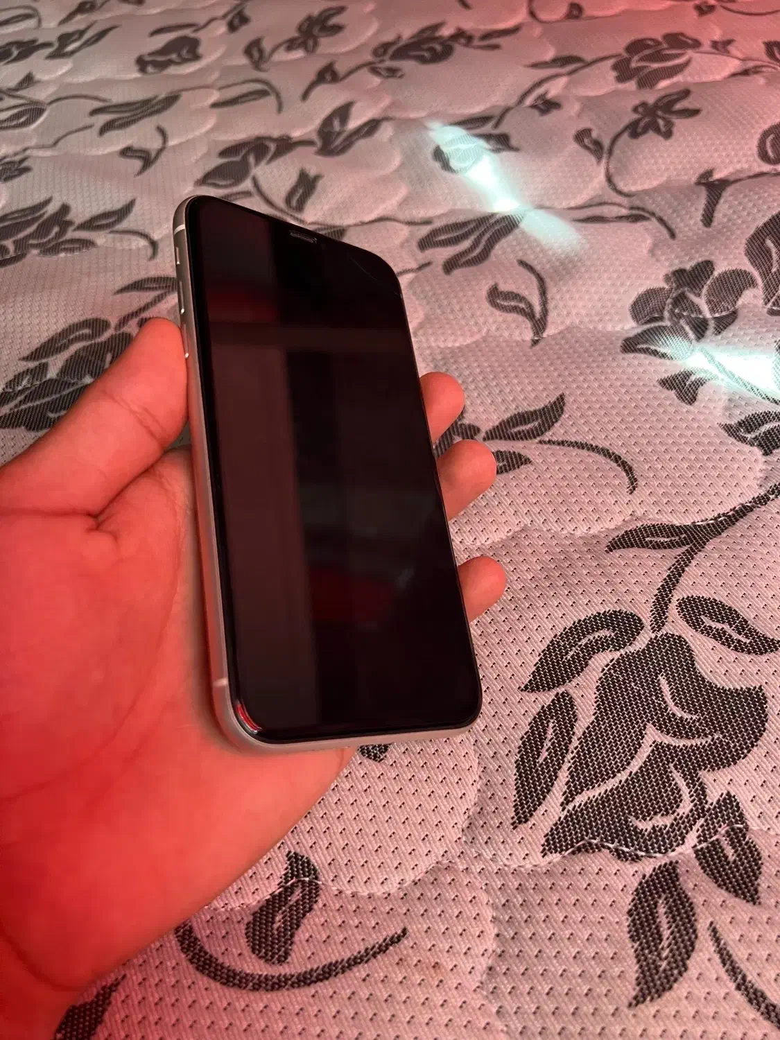 گوشی ایفون۱۱نرمال|موبایل|بندرعباس, |دیوار