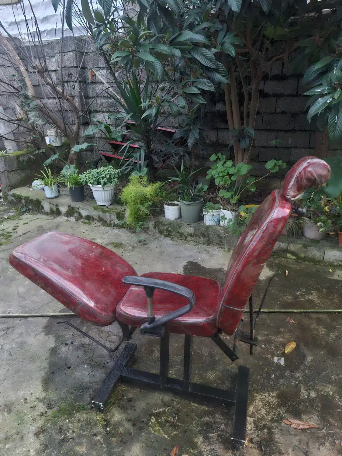 صندلی آرایشگاه|آرایشگاه و سالن‌های زیبایی|آستانه اشرفیه, |دیوار