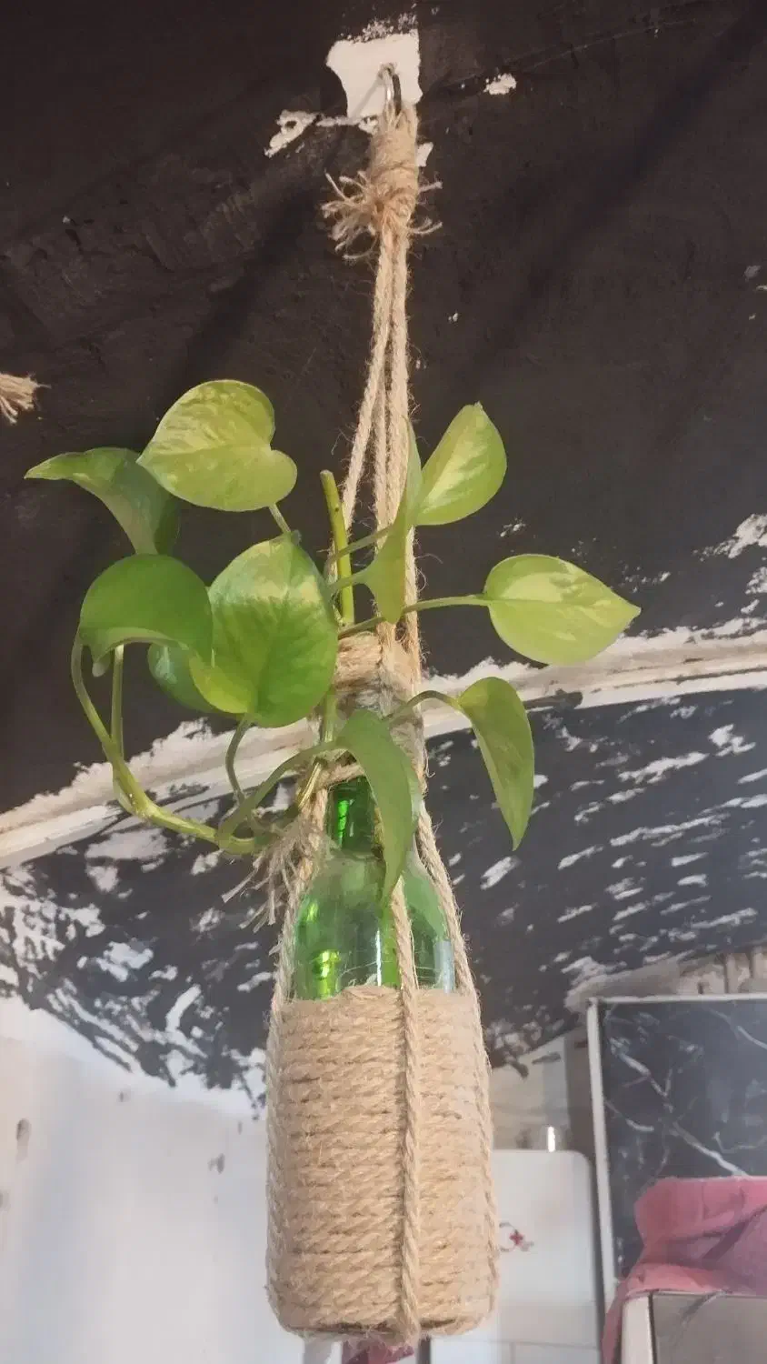 گلدان اویزی تزئینی وشیشه ای|صنایع دستی و سایر لوازم تزئینی|تفت, |دیوار