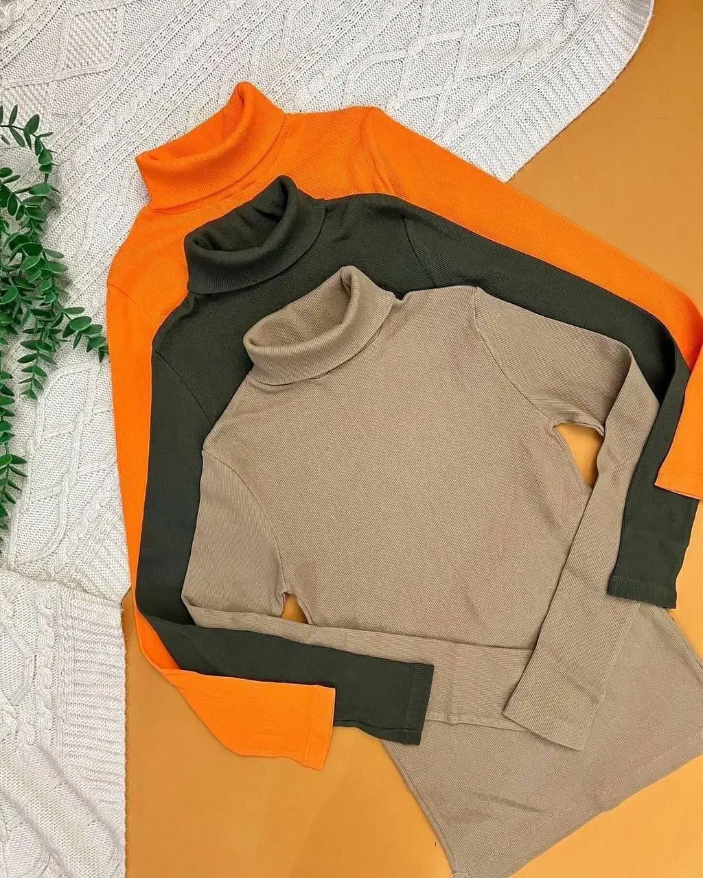 کراپ بادی|لباس|سنندج, |دیوار