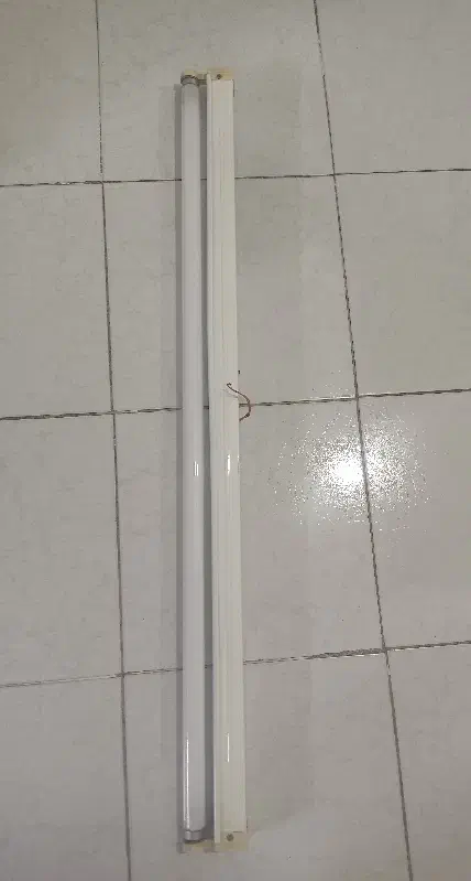 دو عدد مهتابی|لامپ و چراغ|شاهین‌شهر, نبوت|دیوار