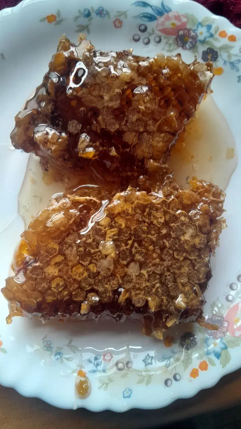 عسل طبیعی اویش وگون از دامنه سبلان|خوردنی و آشامیدنی|رشت, امین الضرب|دیوار