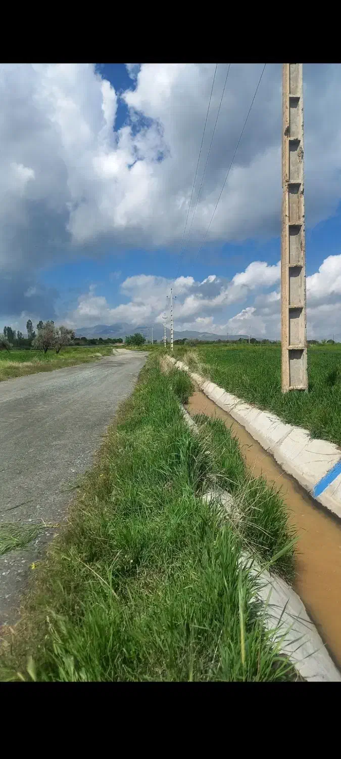 فروش یامعاوضه باغ انگورو زمین کشاورزی درصالح آباد|فروش دفتر صنعتی، کشاورزی، تجاری|صالح آباد, |دیوار