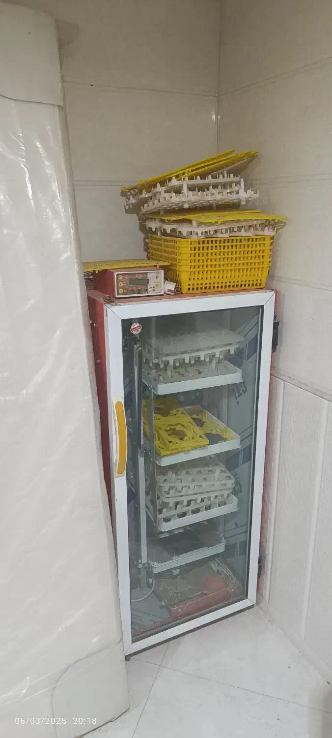 تعدادی لوازم منزل فروشی|صندلی و نیمکت|اردکان, |دیوار