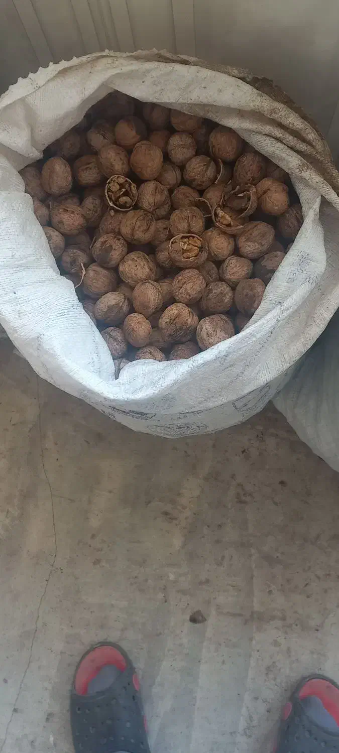 فروش گردو|خوردنی و آشامیدنی|مرند, |دیوار