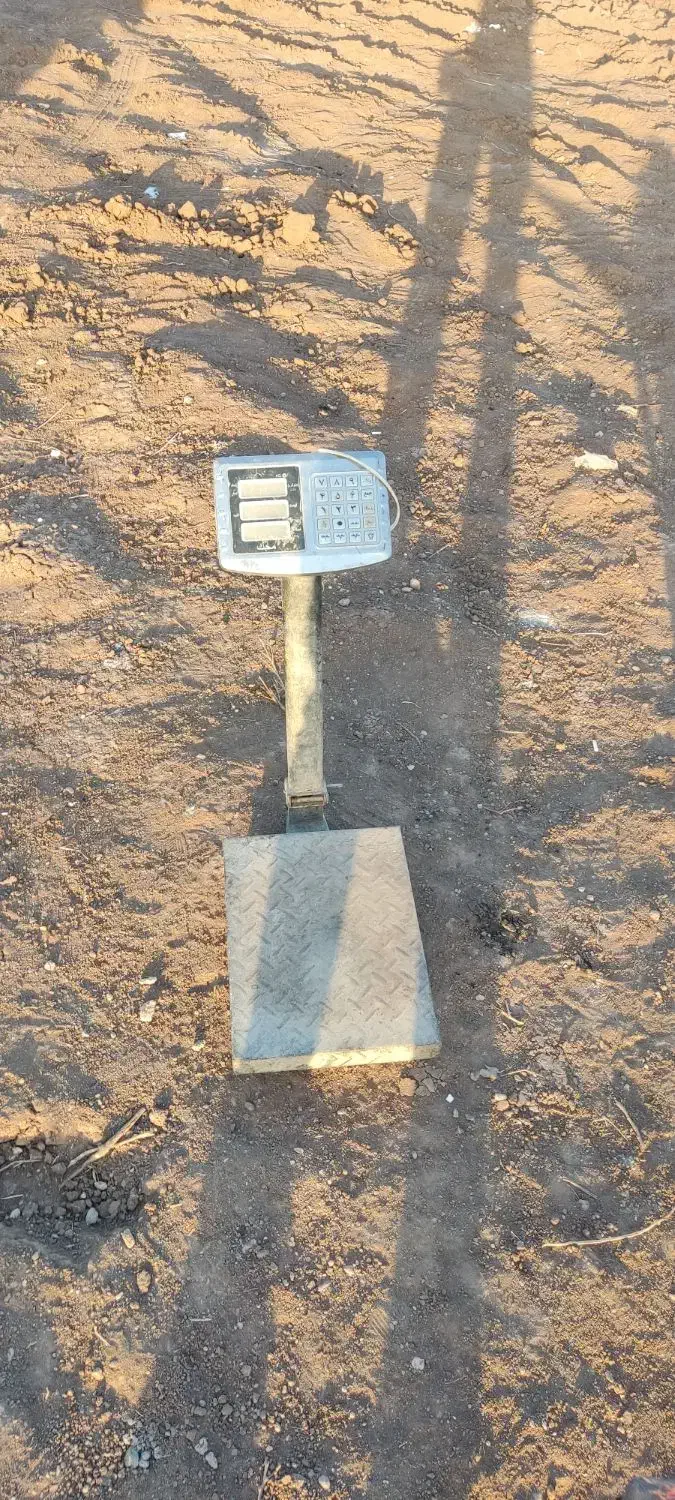 ترازو|سایر لوازم برقی|قزوین, |دیوار