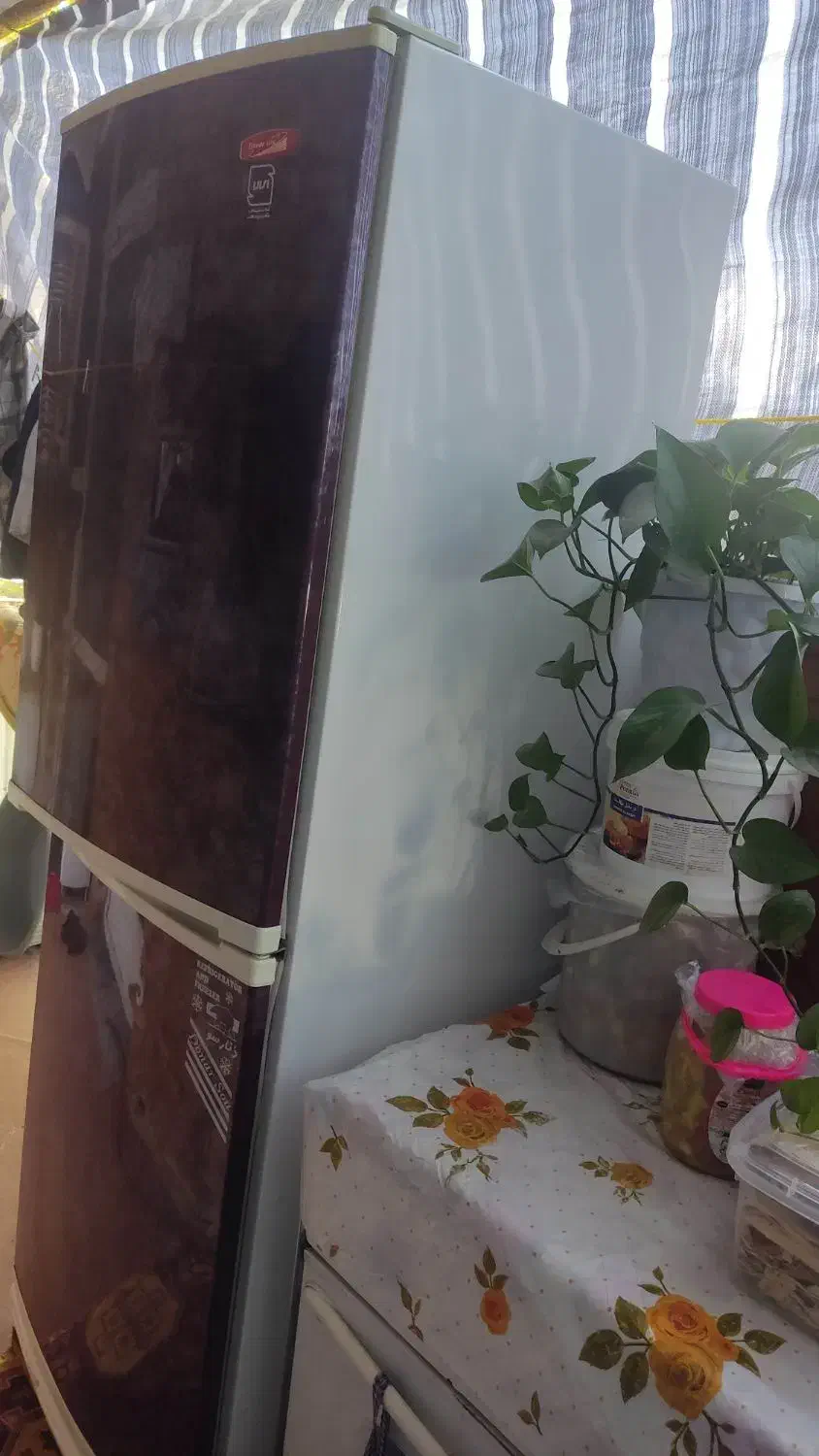 یخچال فریزر|یخچال و فریزر|الوند, |دیوار