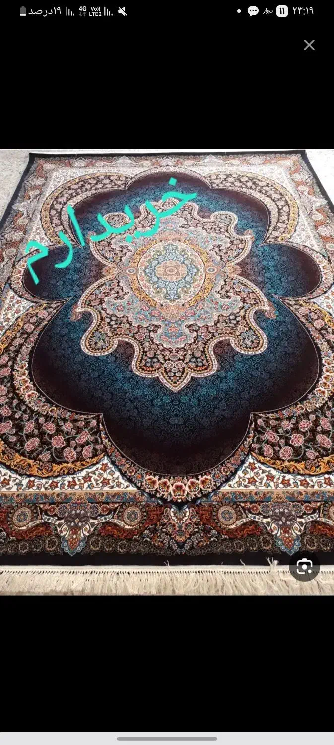 فرس سرمه ای مدل مهبد|فرش|قیدار, |دیوار