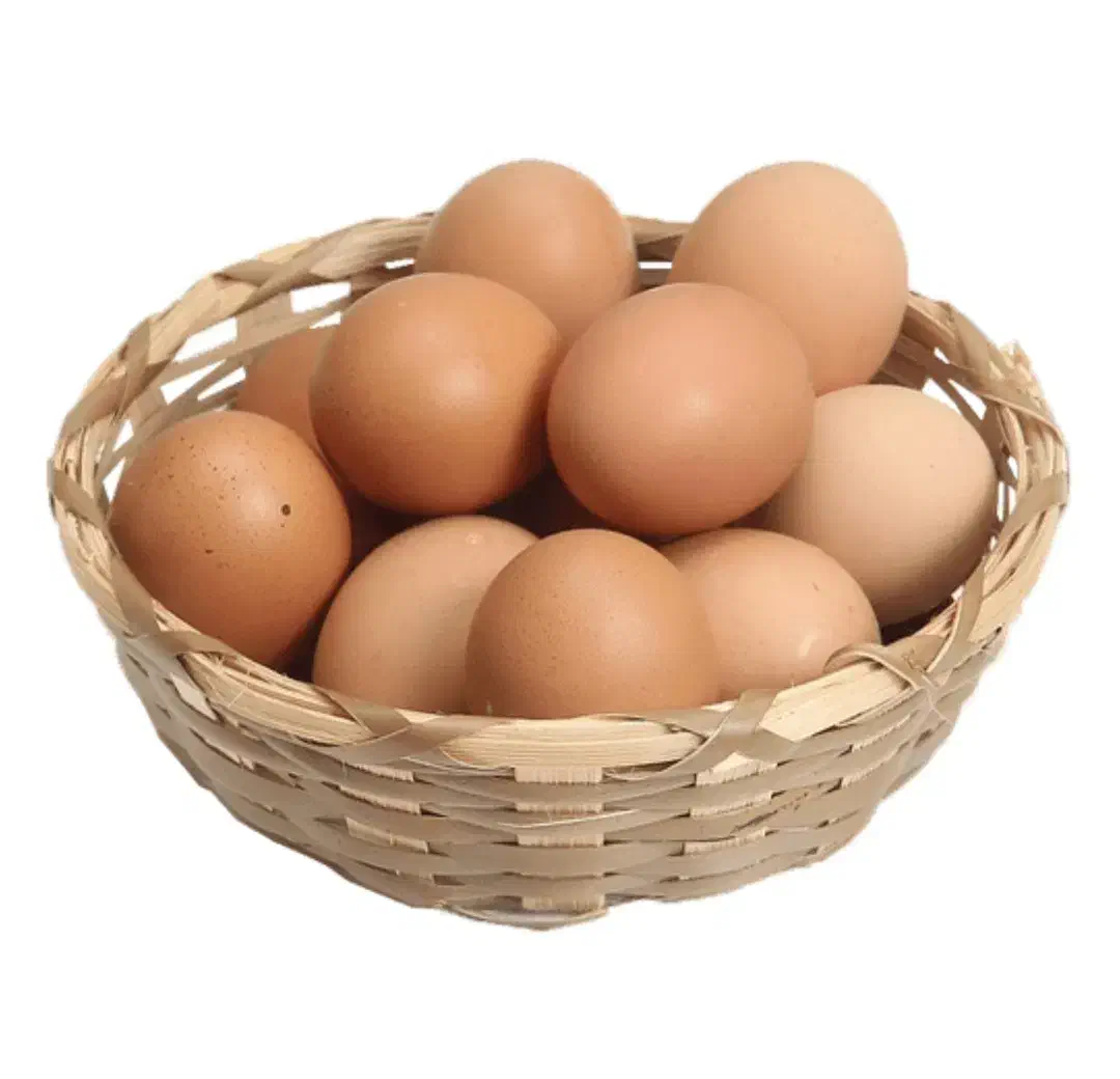 تخم مرغ محلی|خوردنی و آشامیدنی|سبزوار, کهنه آب|دیوار