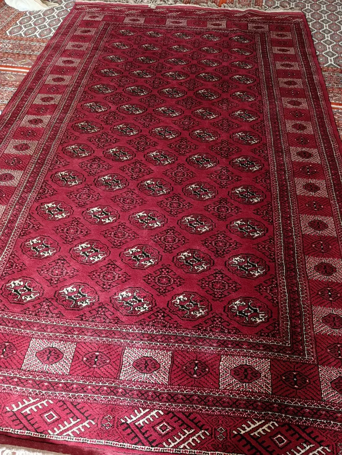 فرش قالی دست بافت ترکمنی|فرش|سیمین شهر, |دیوار