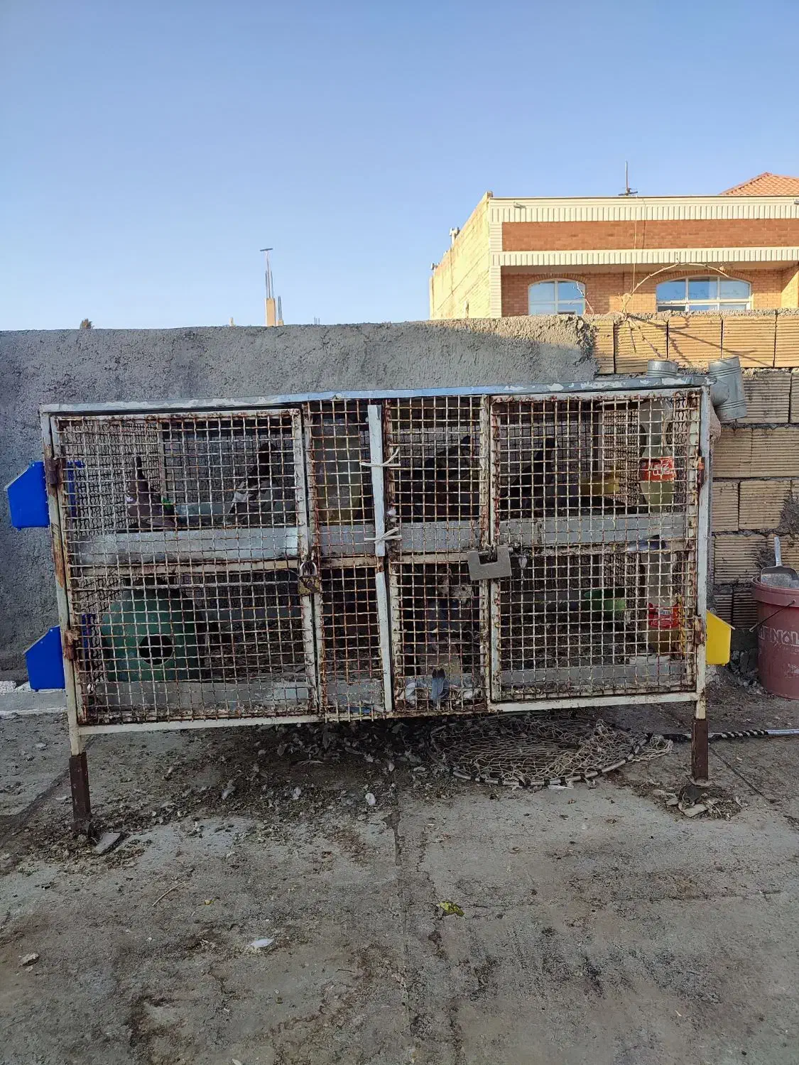 قفس جفت کن|لوازم جانبی حیوانات|لنجان, |دیوار