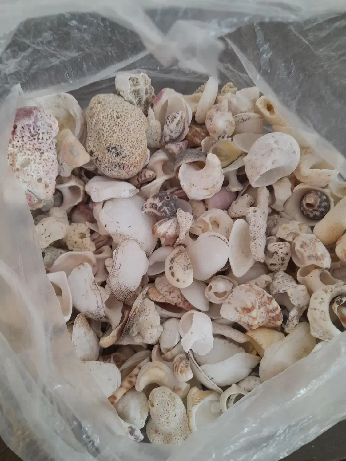 اساس|آبچکان و نظمدهنده ظروف|اصفهان, بهارستان|دیوار