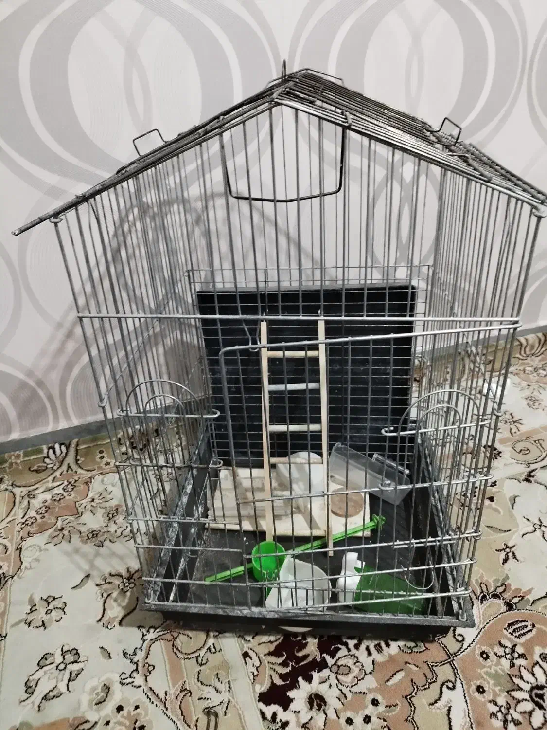 قفس پرنده|لوازم جانبی حیوانات|اسدآباد, |دیوار