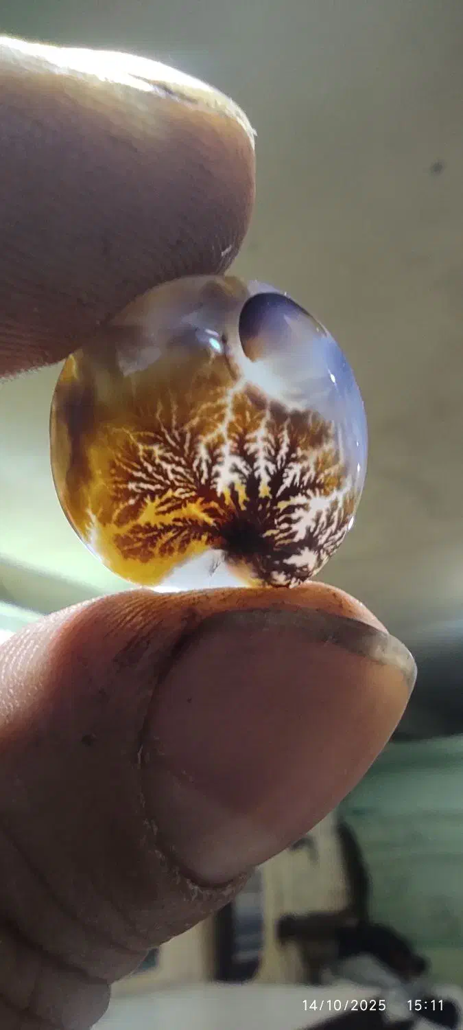 سنگ شجر|جواهرات|قم, نیروگاه|دیوار