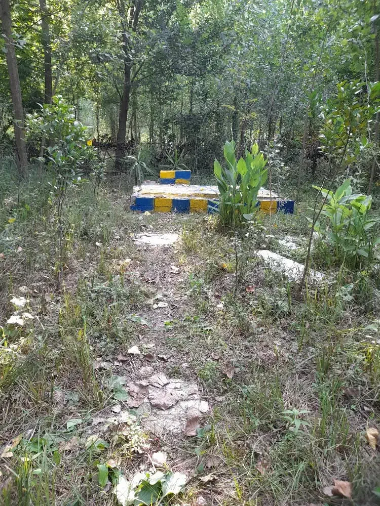 فروش زمین 300متری روستایی درلاهیجان|فروش زمین و ملک کلنگی|رودبنه, |دیوار