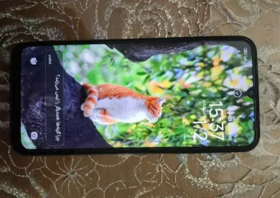 شیائومی ردمی ۱۵ سی|موبایل|قرچک, میرزائی شمالی|دیوار