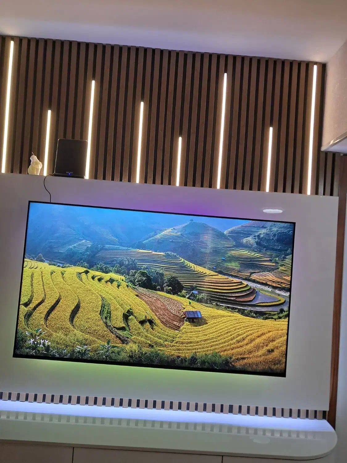 تلوزیون سونی ۶۵اینچ مدل X85L|تلویزیون و پروژکتور|پرند, فاز ۴|دیوار