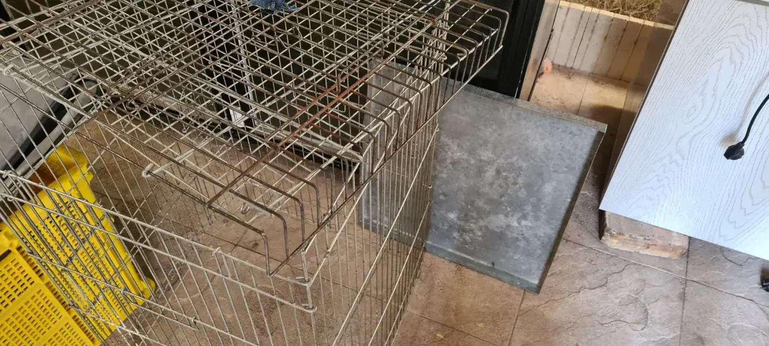 سینی پلاستیکی فلافل و لوازم دیگر|ظروف پختوپز|ری, علایین|دیوار