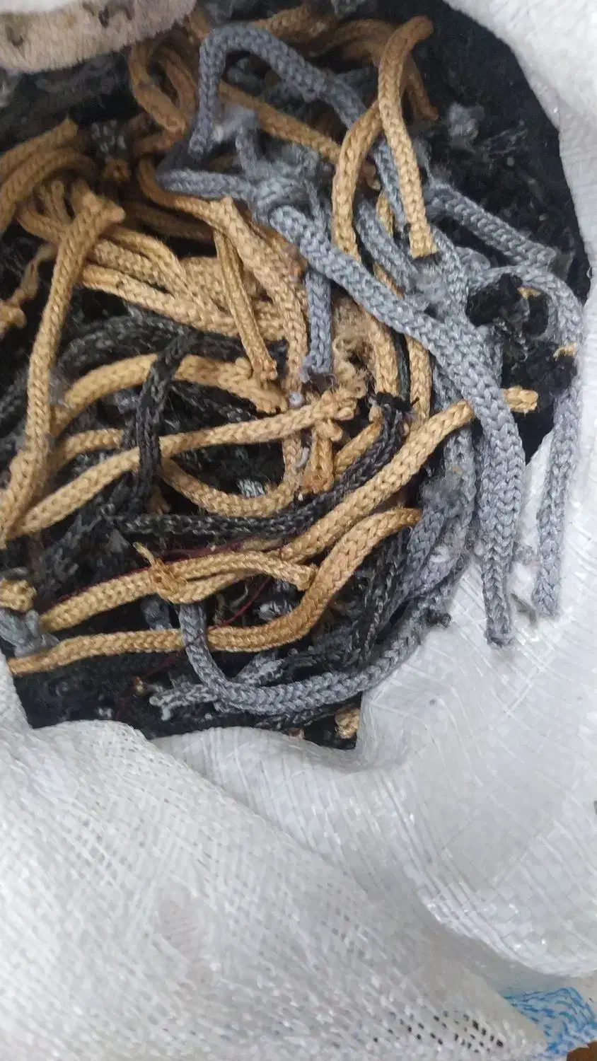 استخدام|استخدام صنعتی، فنی، مهندسی|مشهد, کوی ولیعصر|دیوار