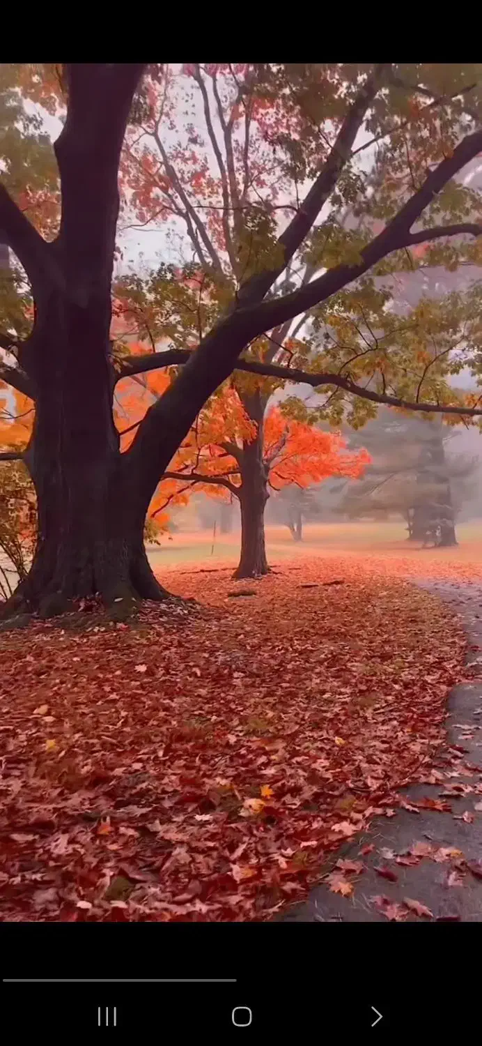 به یک نفر نظافتچی اتباع نیازمندیم|خدمات نظافت|تهران, بلوار کشاورز|دیوار