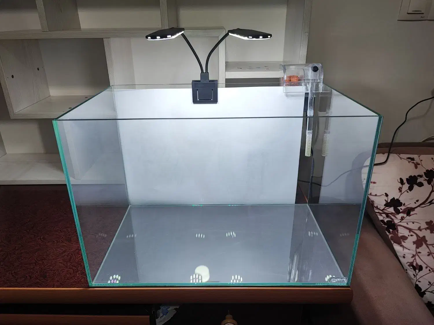 اکواریوم ریملس apa|ماهی|سنقر, |دیوار