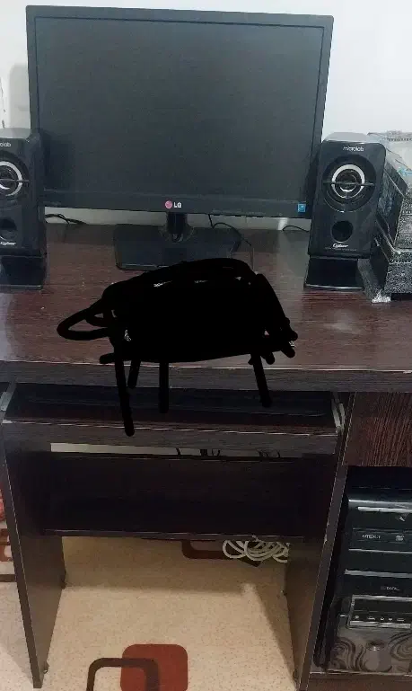 کمد و   میز کامپیوتر  و میز آر|کتابخانه، شلف، قفسه‌های دیواری|قزوین, |دیوار