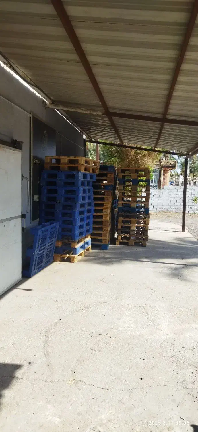 اجاره سالن بسته بندی همراه باسردخانه|اجارهٔ دفتر صنعتی، کشاورزی، تجاری|بم, |دیوار