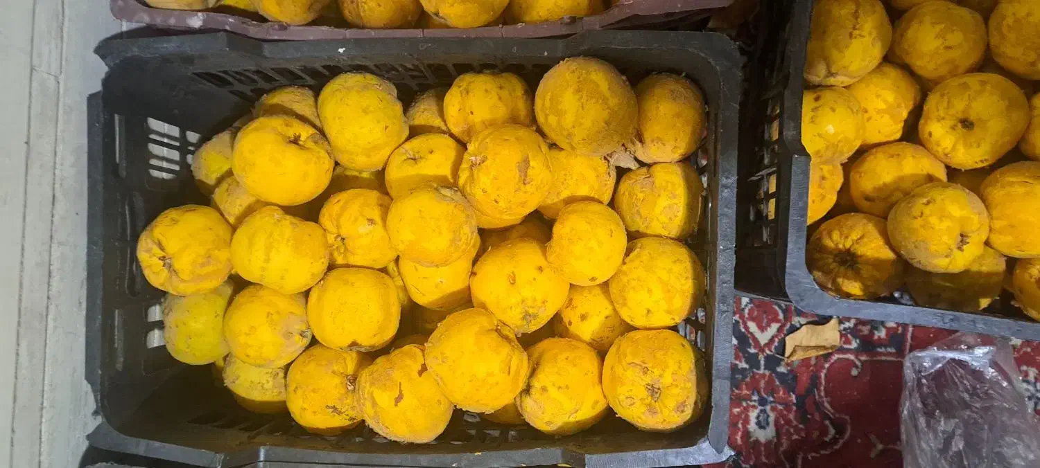 به محلی خوش بو مخصوص خوردن و پذیرایی|خوردنی و آشامیدنی|نجفآباد, شریعتی غربی|دیوار