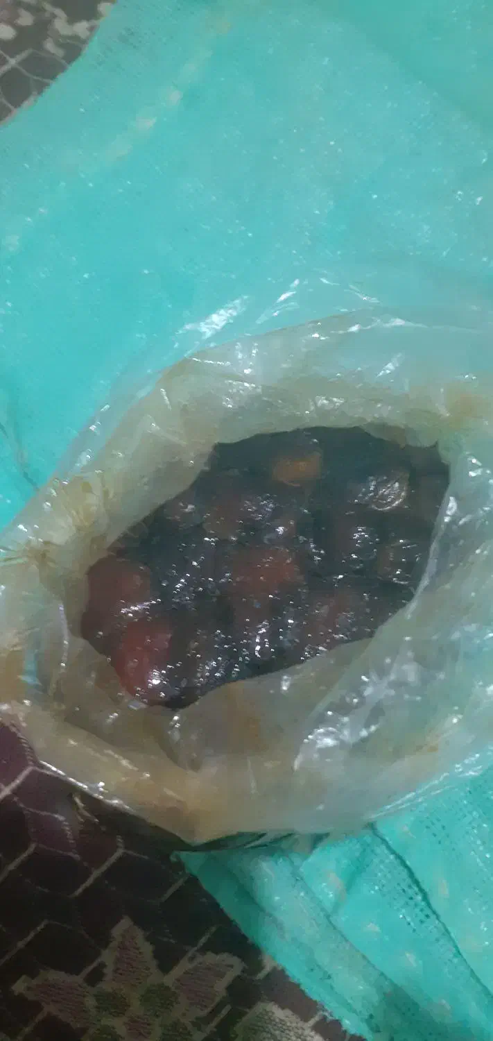 خرمای برحی ابادان|خوردنی و آشامیدنی|اهواز, کوی طلاب|دیوار