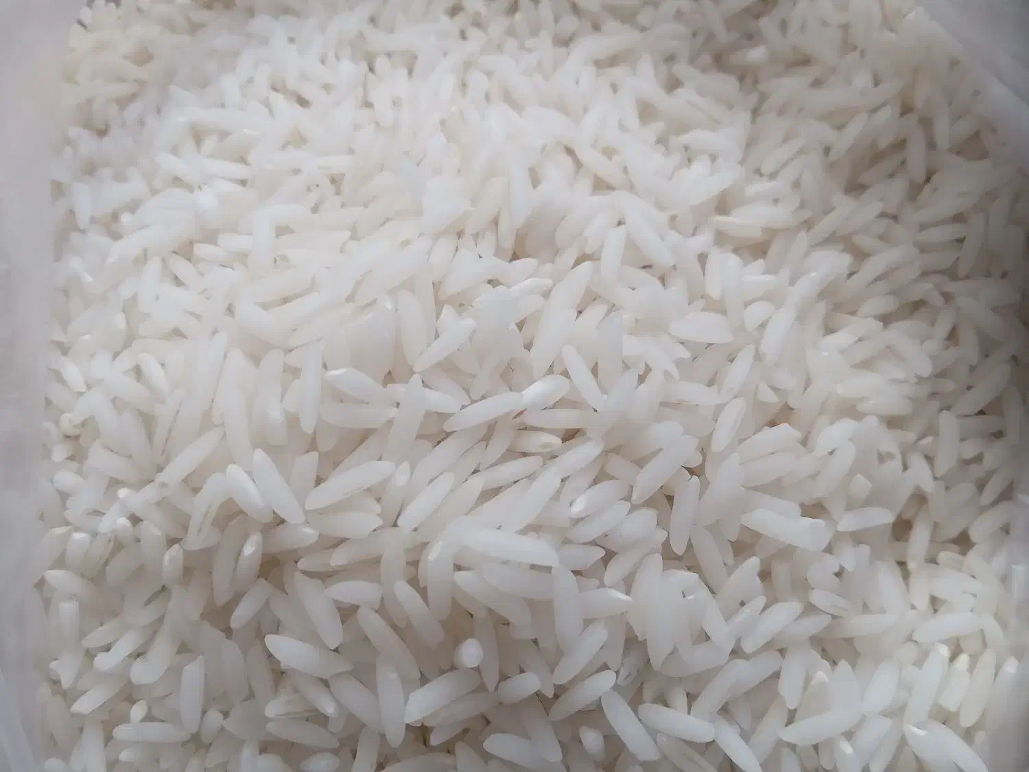 برنج طارم هاشمی دابو ملکشاه|خوردنی و آشامیدنی|نیشابور, ناسیونال|دیوار