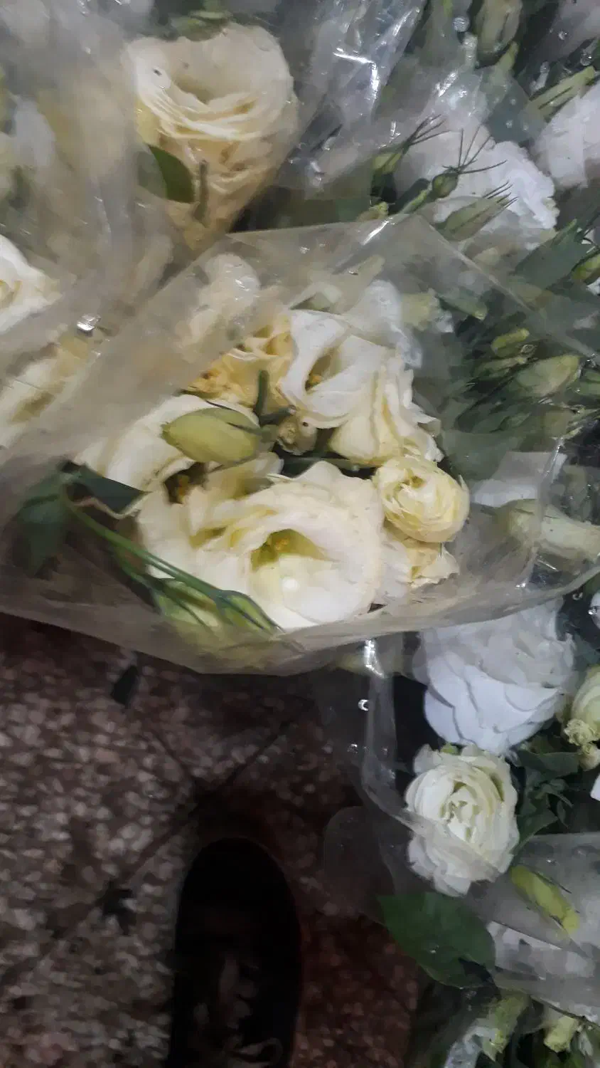 گل داودی ۲۰۰ تازه تازهدسته پرمیخک مینیاتوری لیسبن۰|گل و گیاه طبیعی|ری, بازار گل خاوران|دیوار