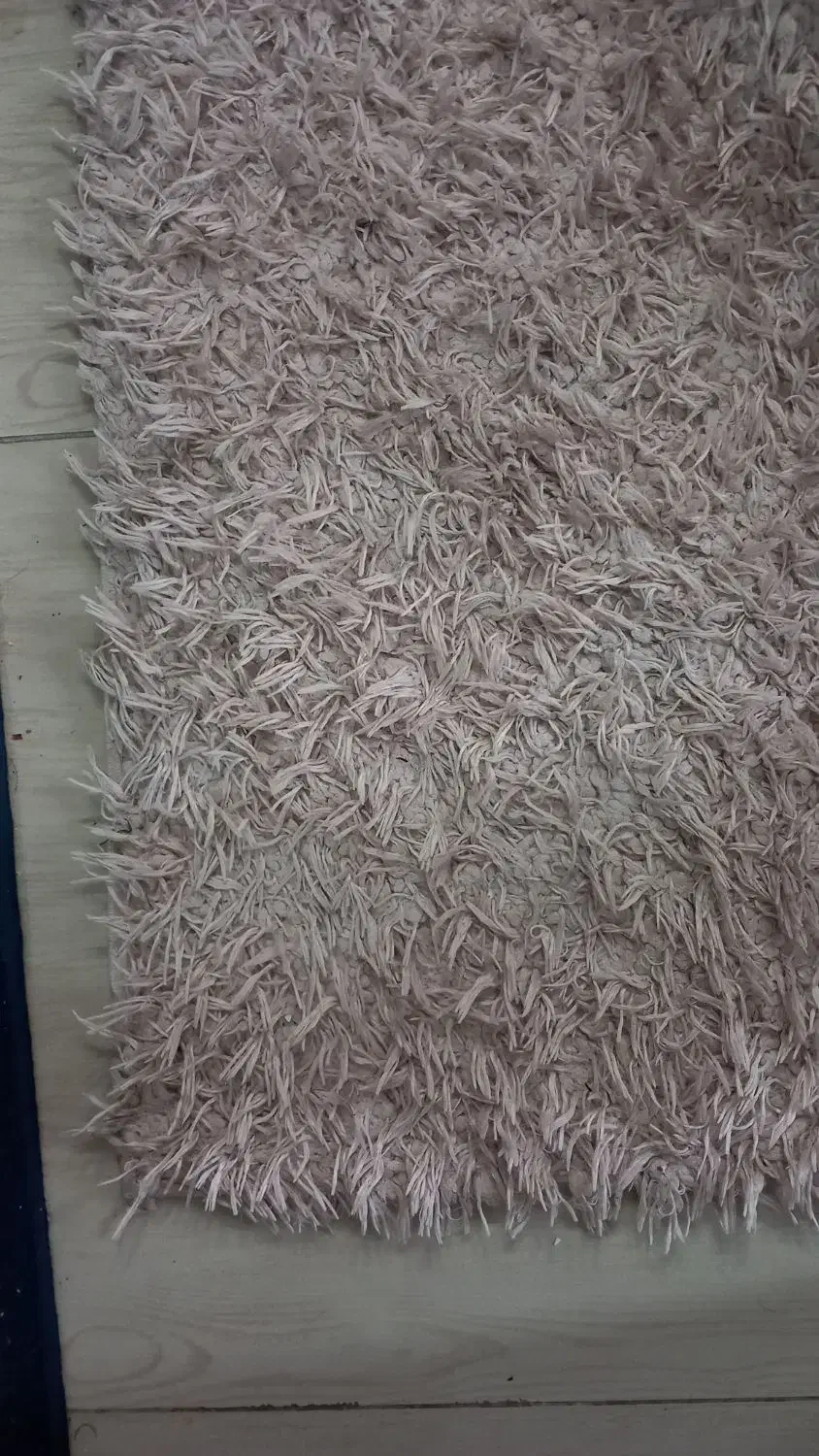 فرش ۶ متری پرز بلند|فرش|ساری, |دیوار