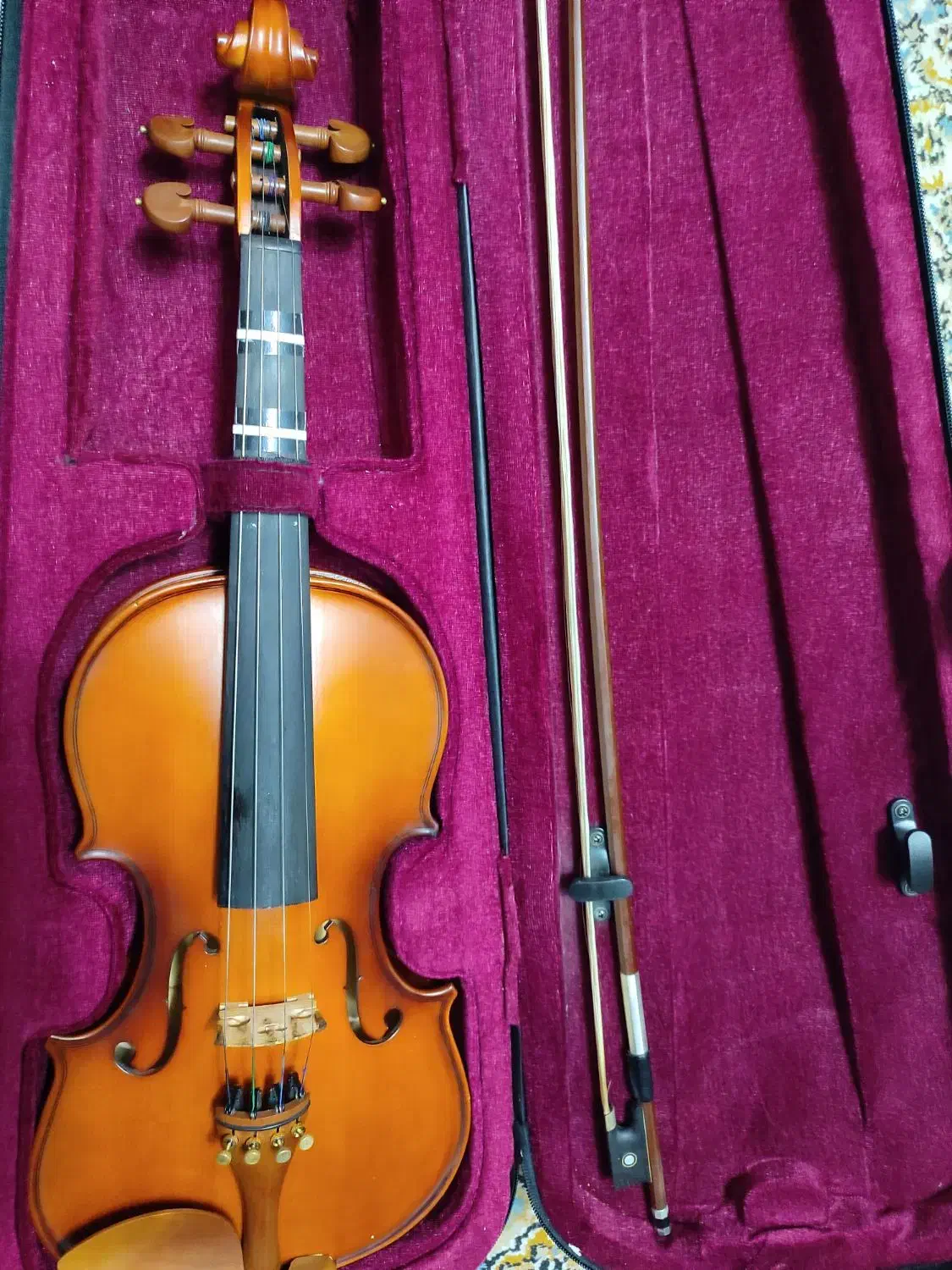 ویالون / ویولن|ویولن|ساری, |دیوار