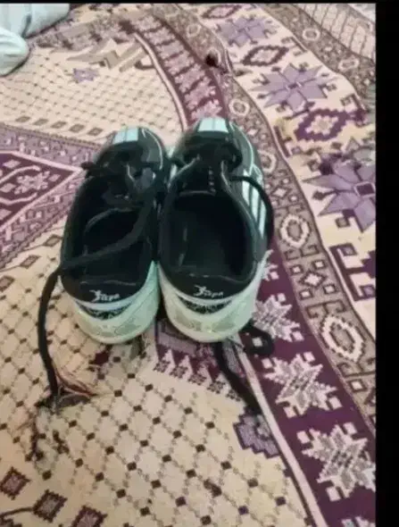 کفش|کیف، کفش، کمربند|تایباد, |دیوار