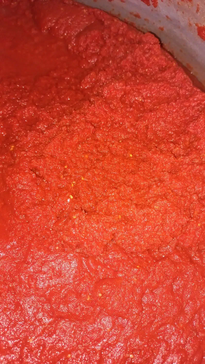 رب گوجه خانگی|خوردنی و آشامیدنی|فیروزآباد (فارس), |دیوار