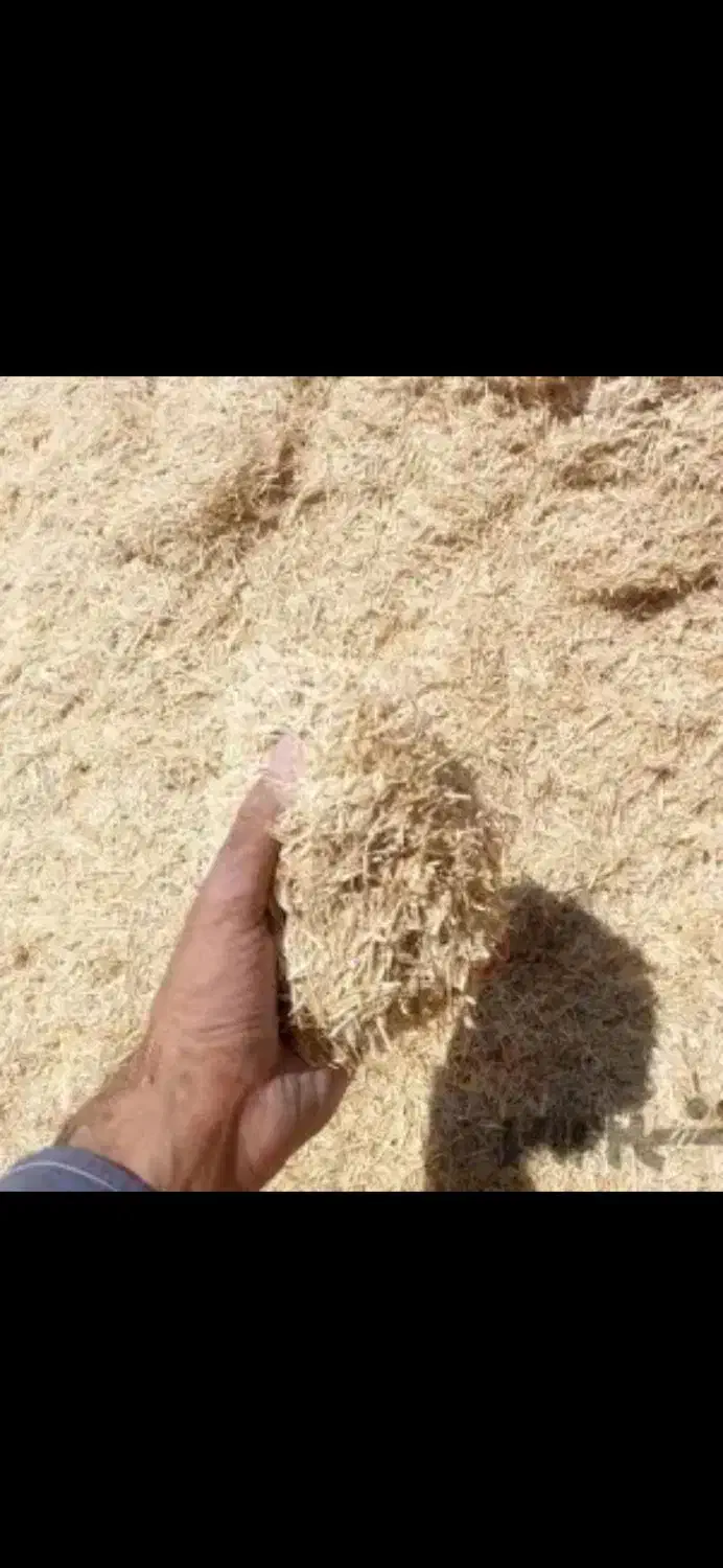 کاه|لوازم جانبی حیوانات|قیدار, |دیوار