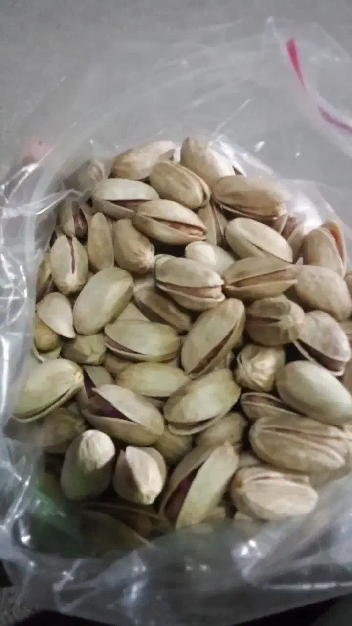 پسته پاک شده|حراج|قم, شهرک مهدیه|دیوار